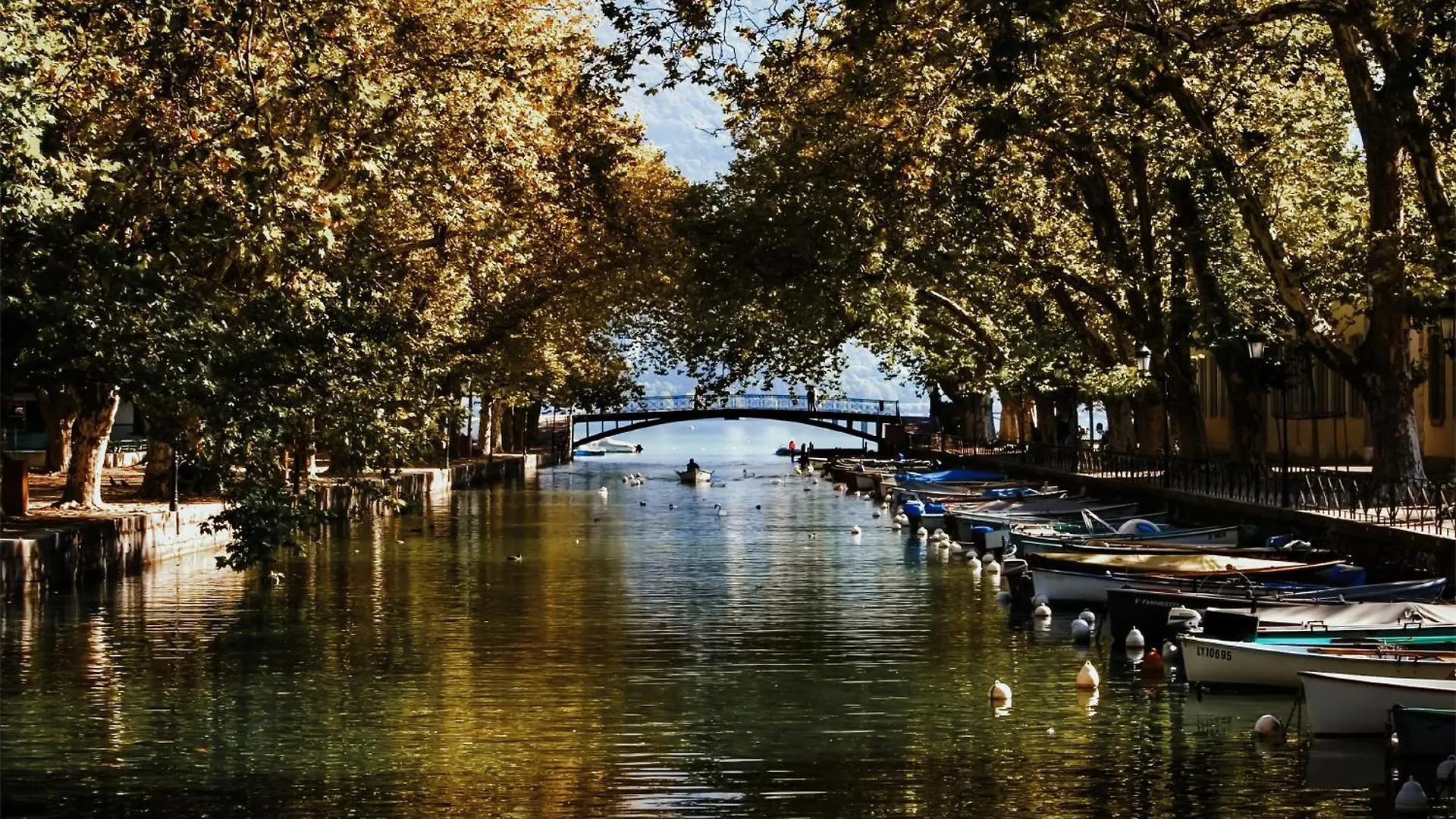 Studio Etoile Carnot Au Coeur De La Vieille Ville Annecy 0*,